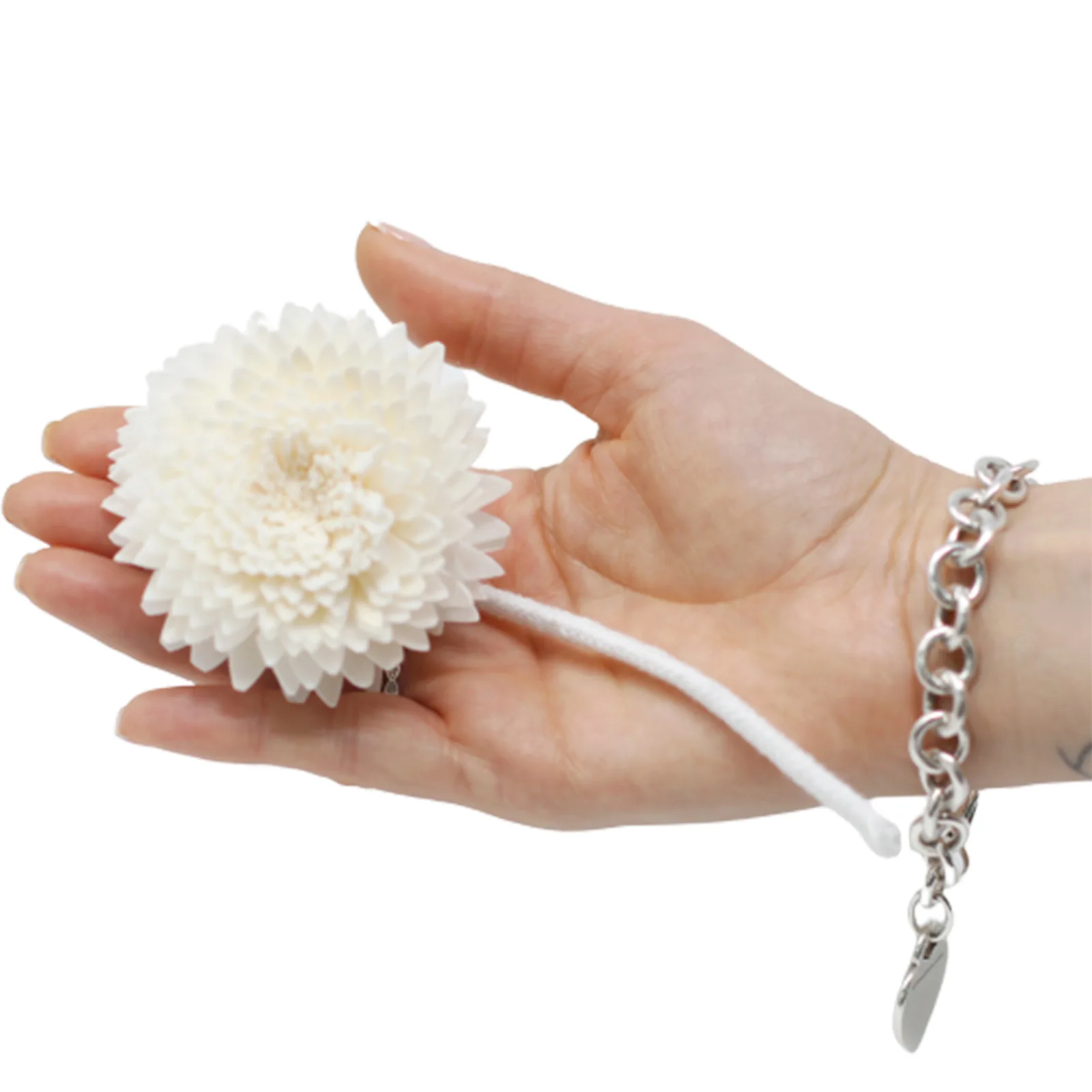 Natūralios Difuzoriaus Gėlės – Didelis Gvazdikas