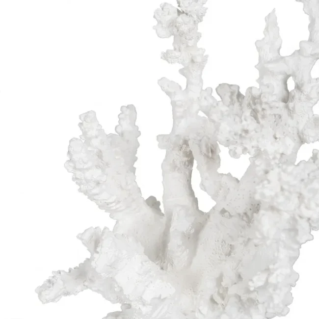 Baltas koralas, 17x17x20 cm - Image 2