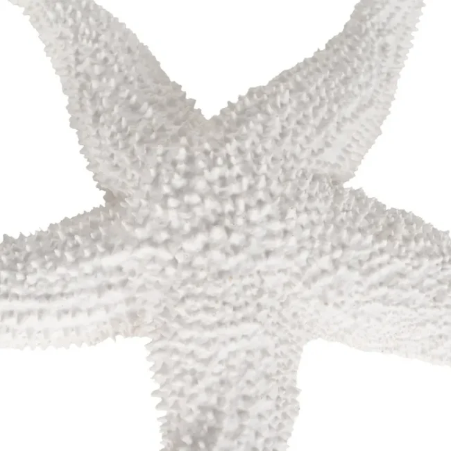 Baltos spalvos žvaigždė 24x24x5 cm - Image 3