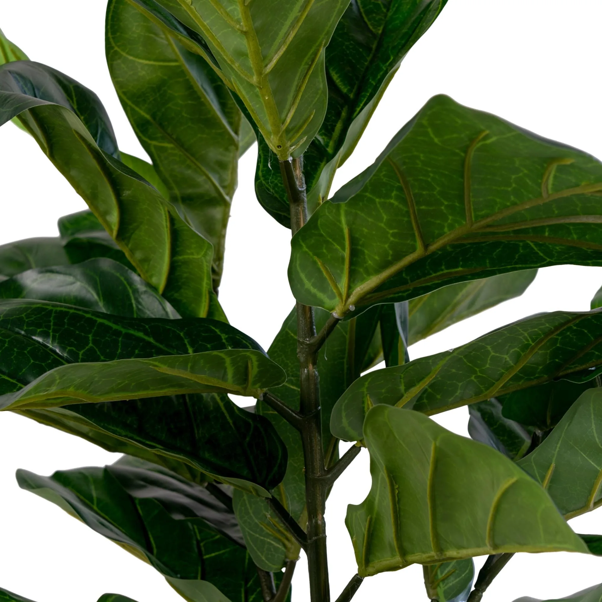 Dirbtinis augalas Fiddle Leaf Tree 100cm - Image 3