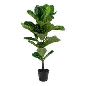 Dirbtinis augalas Fiddle Leaf Tree