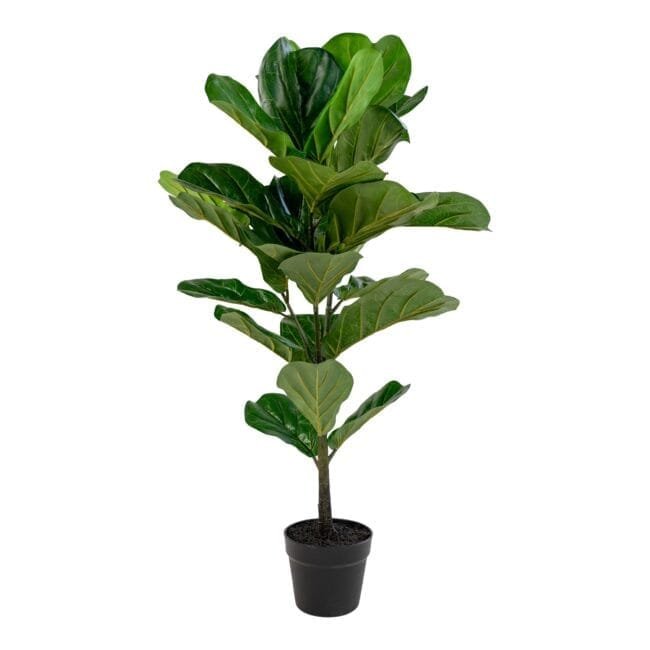 Dirbtinis augalas Fiddle Leaf Tree
