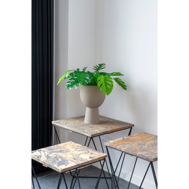 Monstera dirbtinis augalas